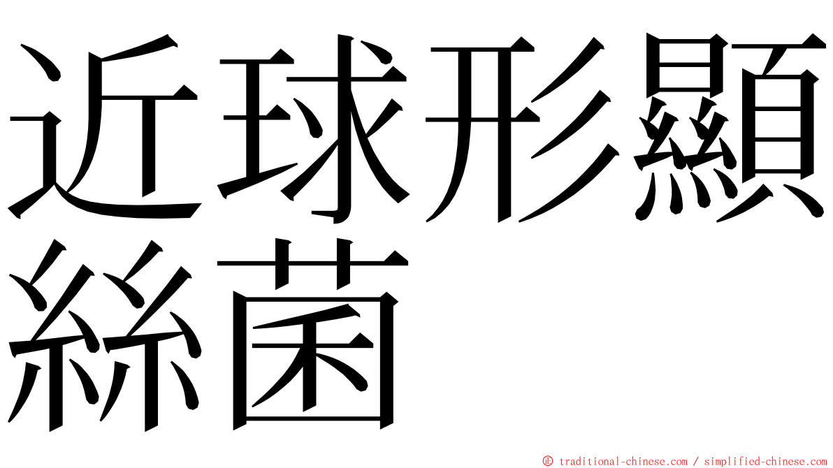 近球形顯絲菌 ming font