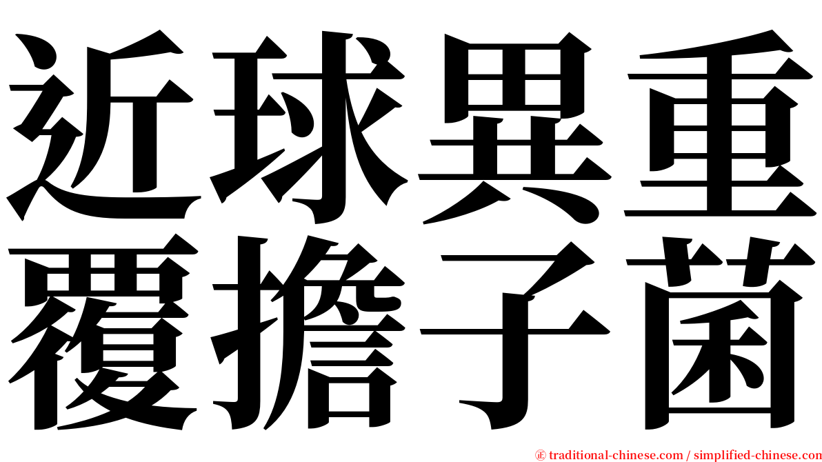 近球異重覆擔子菌 serif font