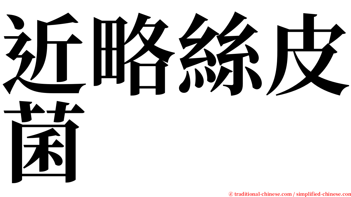 近略絲皮菌 serif font