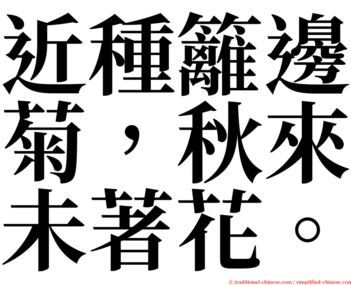 近種籬邊菊，秋來未著花。 serif font