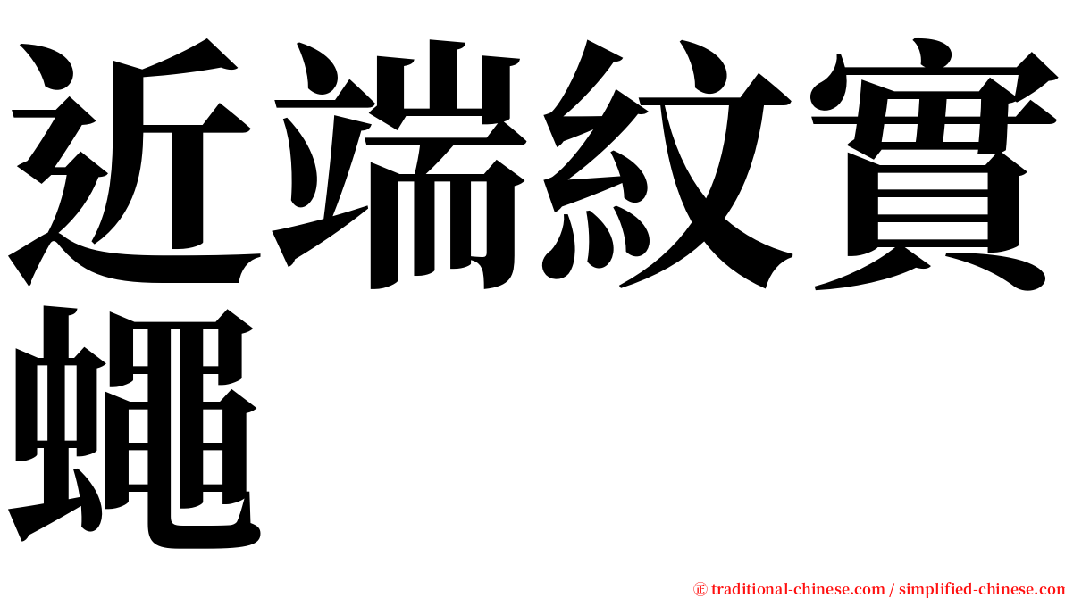 近端紋實蠅 serif font