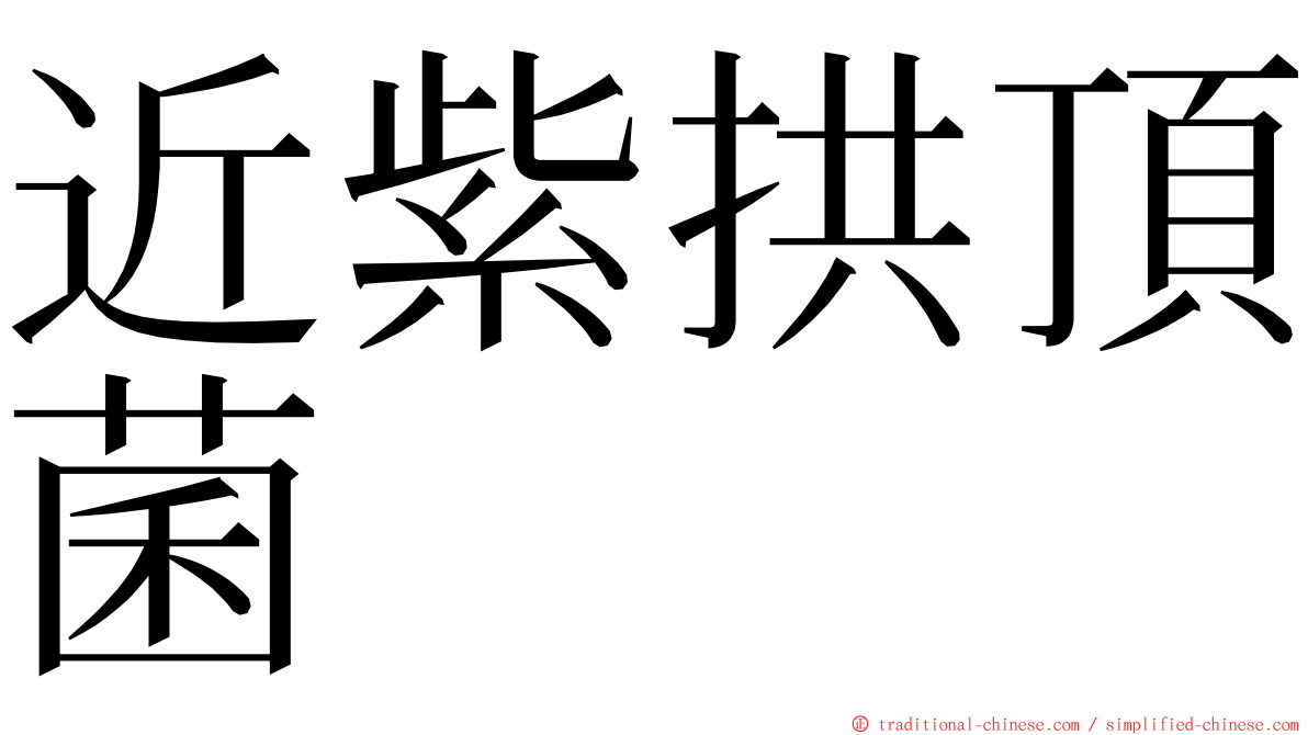 近紫拱頂菌 ming font