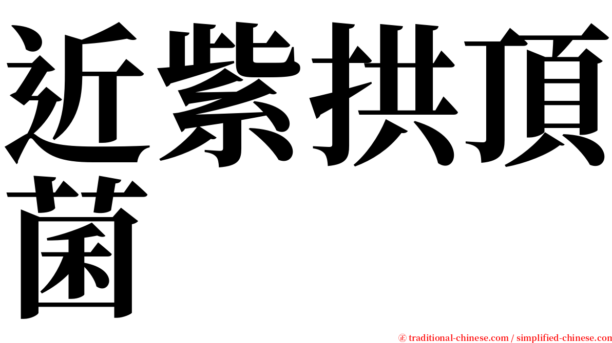 近紫拱頂菌 serif font