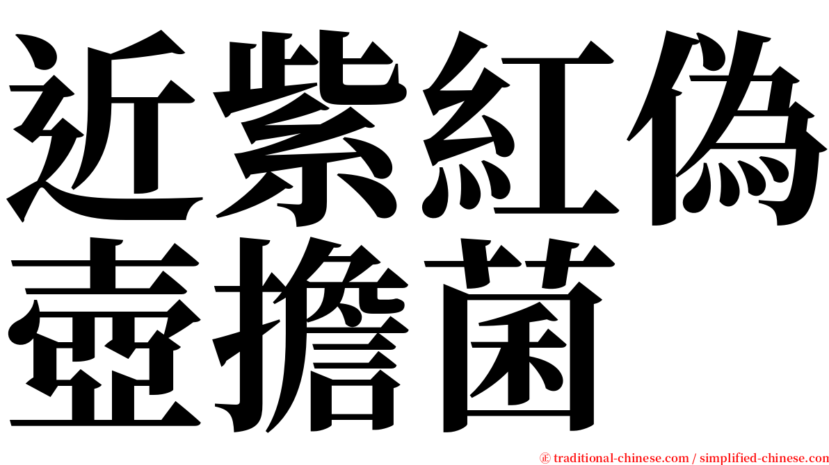 近紫紅偽壺擔菌 serif font