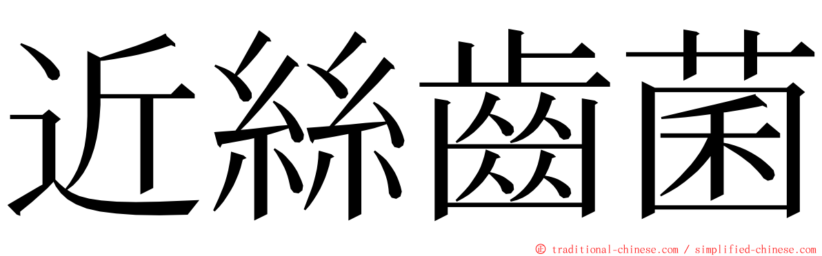 近絲齒菌 ming font