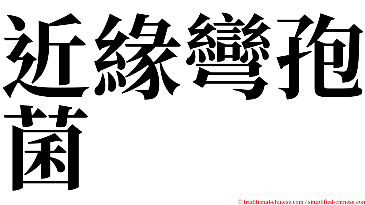 近緣彎孢菌 serif font