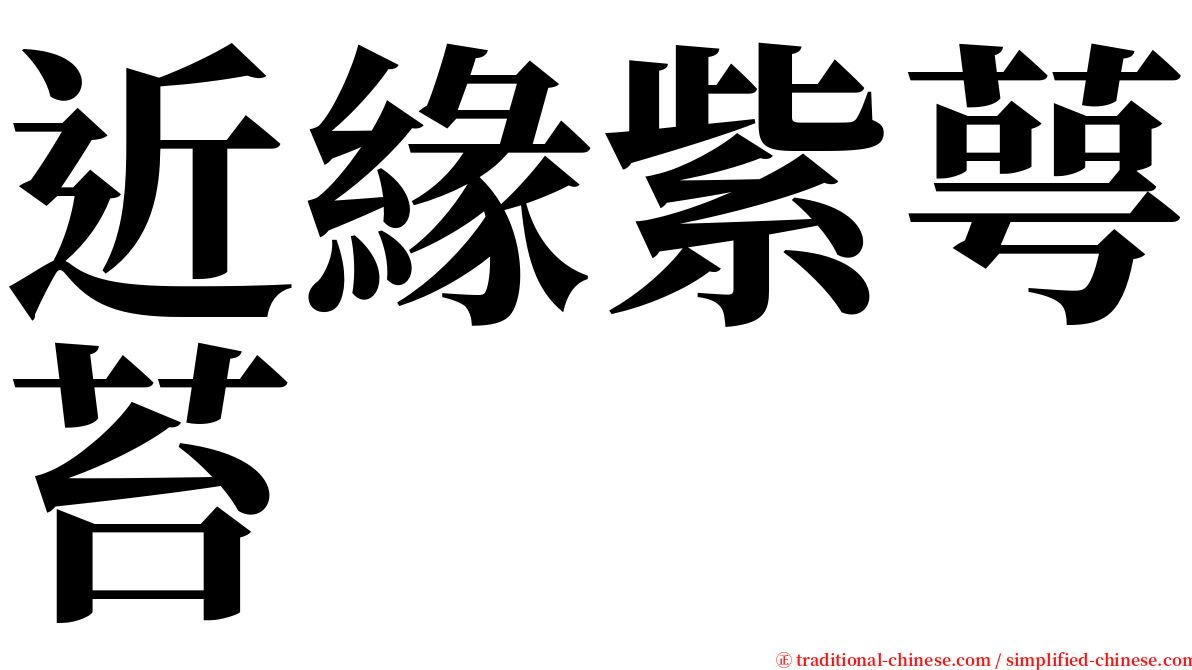 近緣紫萼苔 serif font