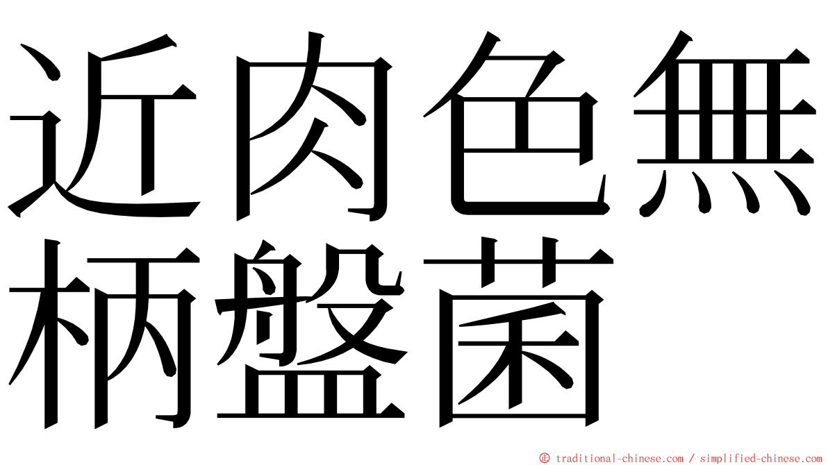 近肉色無柄盤菌 ming font