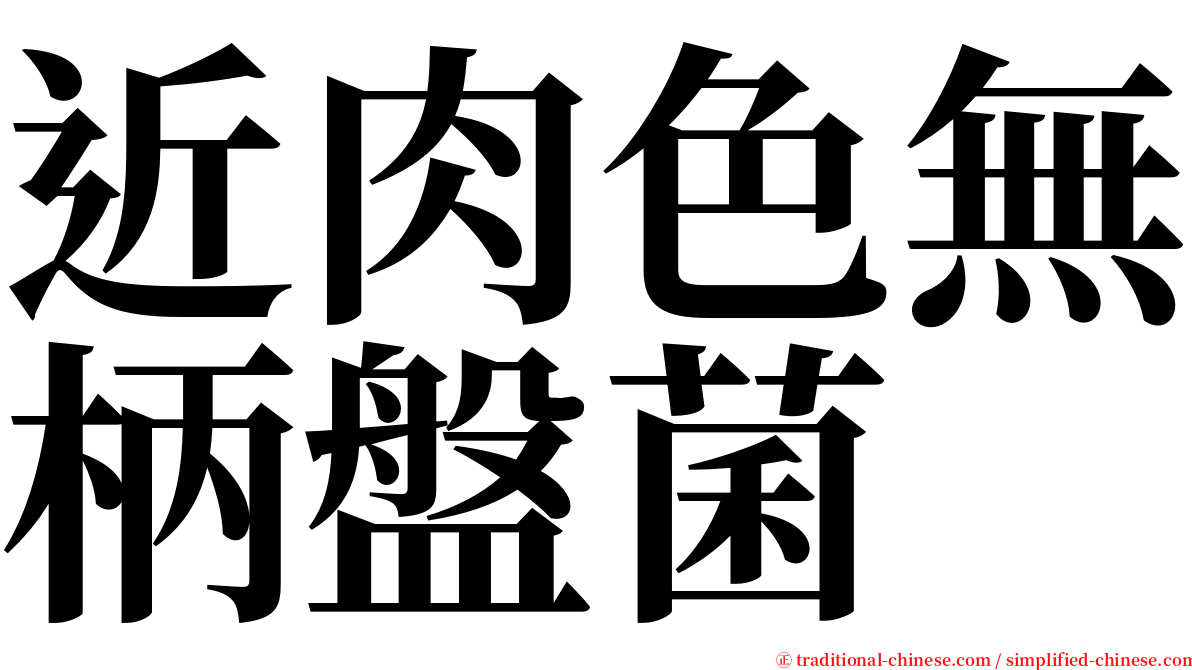 近肉色無柄盤菌 serif font