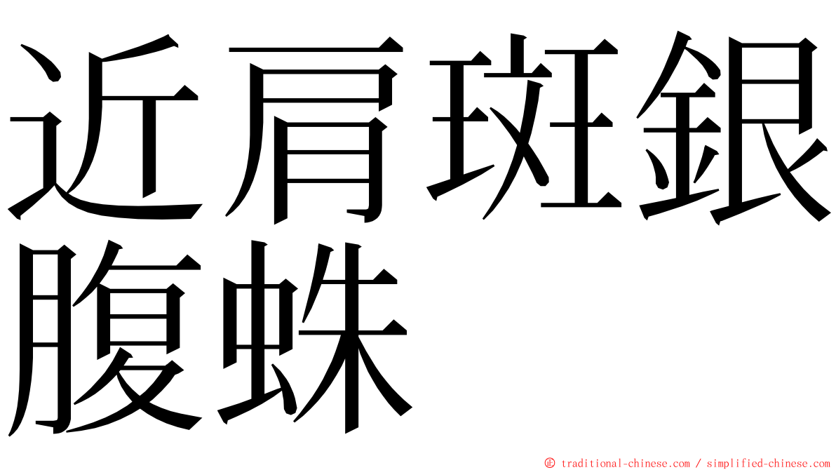 近肩斑銀腹蛛 ming font