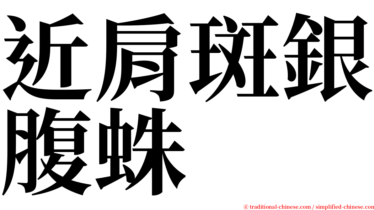 近肩斑銀腹蛛 serif font