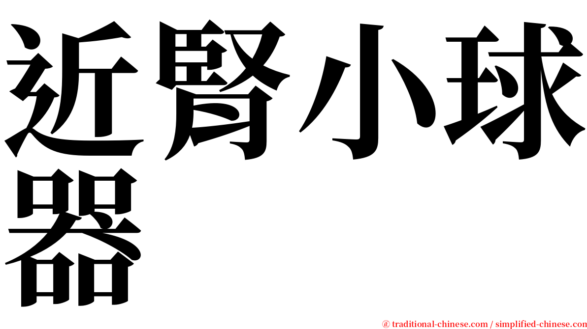 近腎小球器 serif font