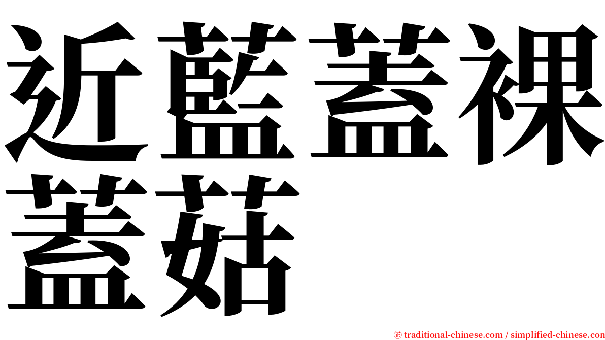 近藍蓋裸蓋菇 serif font