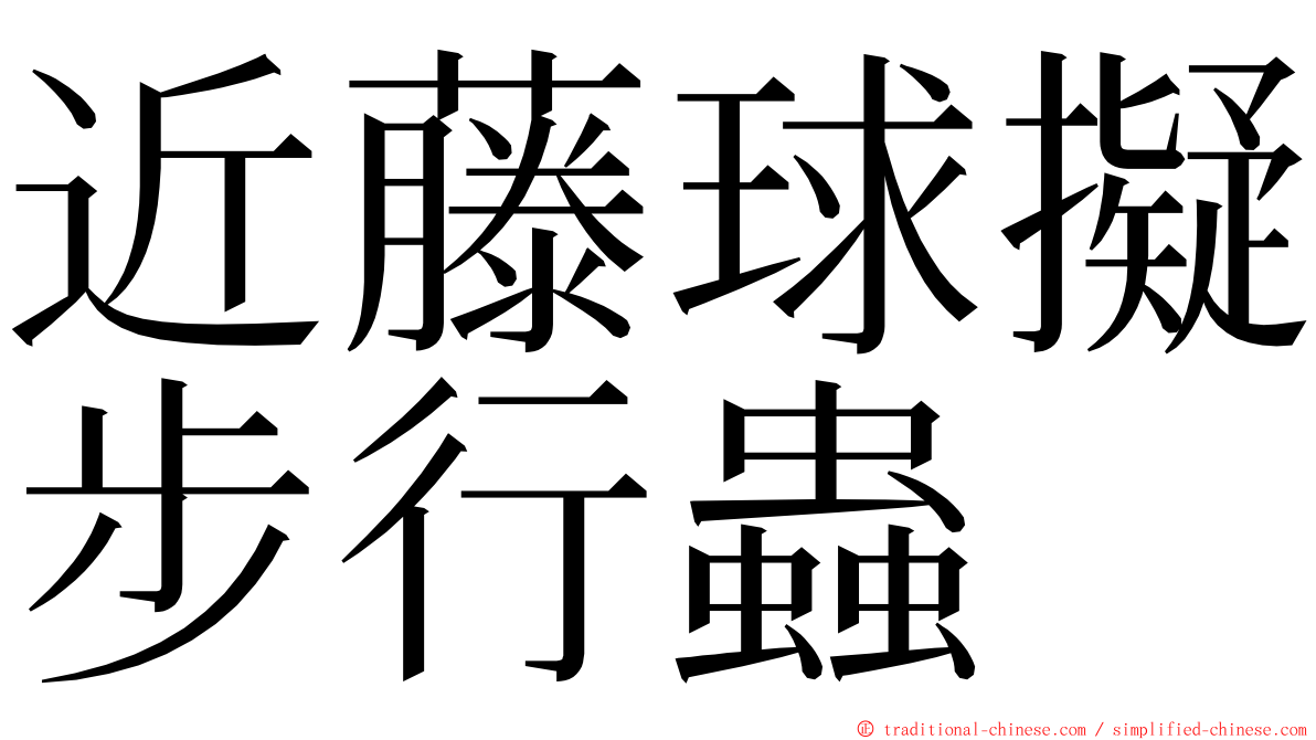 近藤球擬步行蟲 ming font