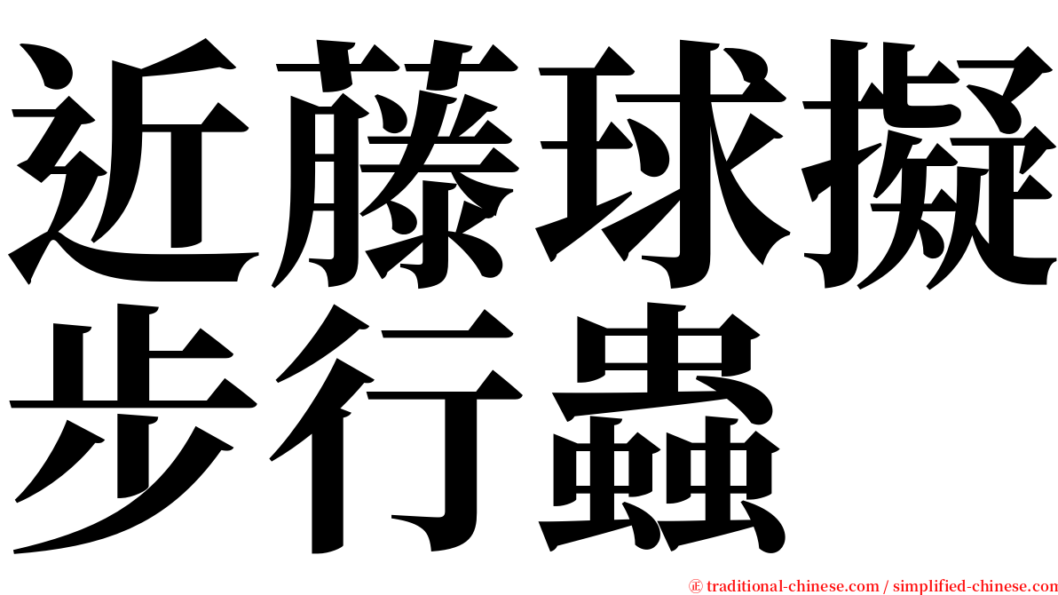 近藤球擬步行蟲 serif font