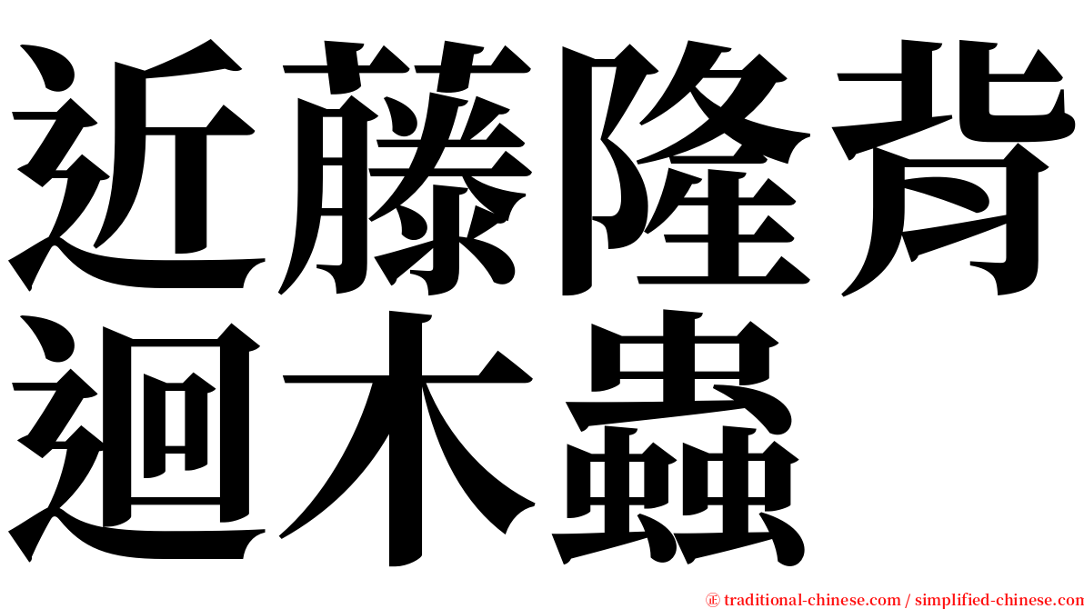 近藤隆背迴木蟲 serif font