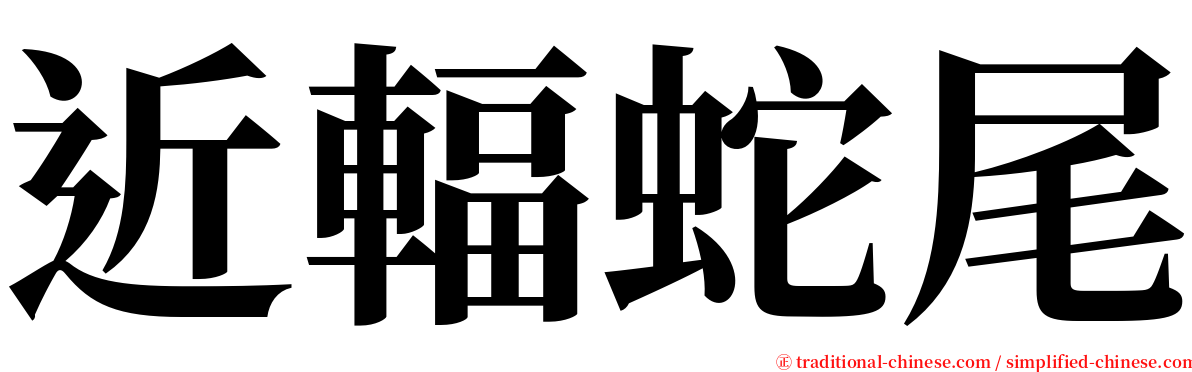 近輻蛇尾 serif font