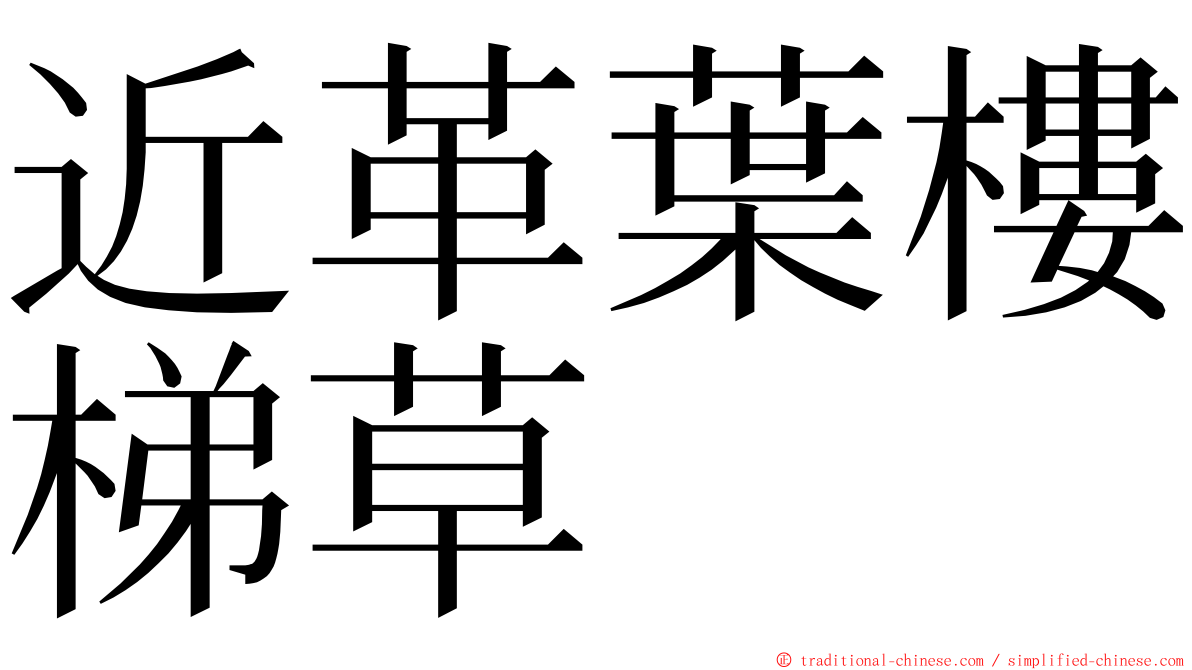 近革葉樓梯草 ming font