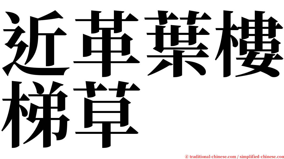 近革葉樓梯草 serif font