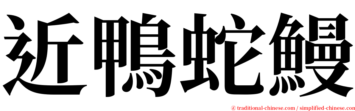 近鴨蛇鰻 serif font