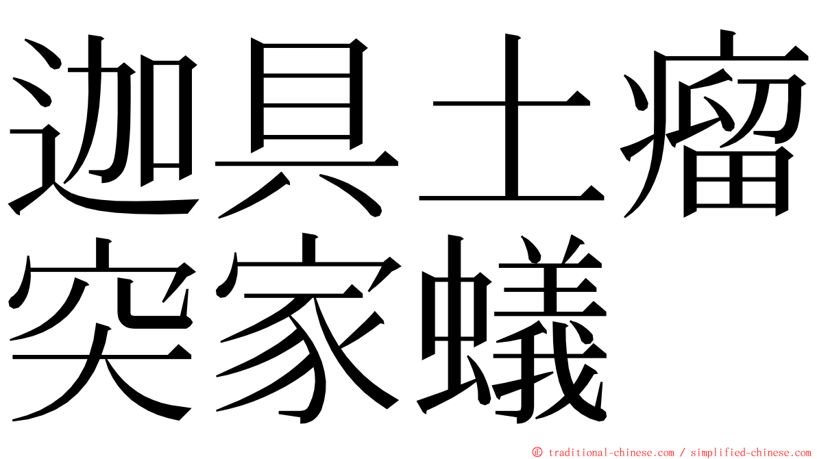 迦具土瘤突家蟻 ming font