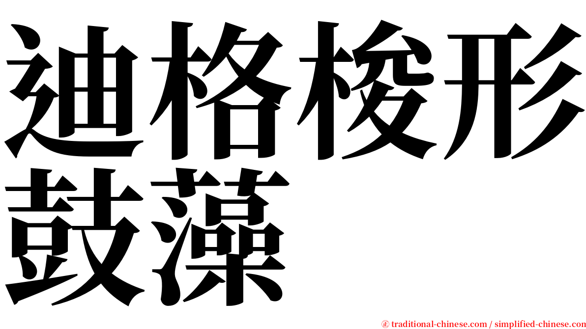 迪格梭形鼓藻 serif font