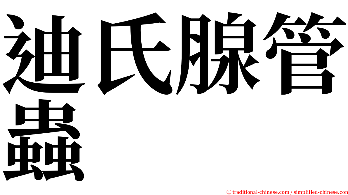 迪氏腺管蟲 serif font