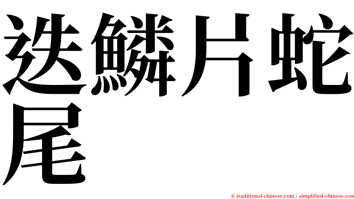 迭鱗片蛇尾 serif font