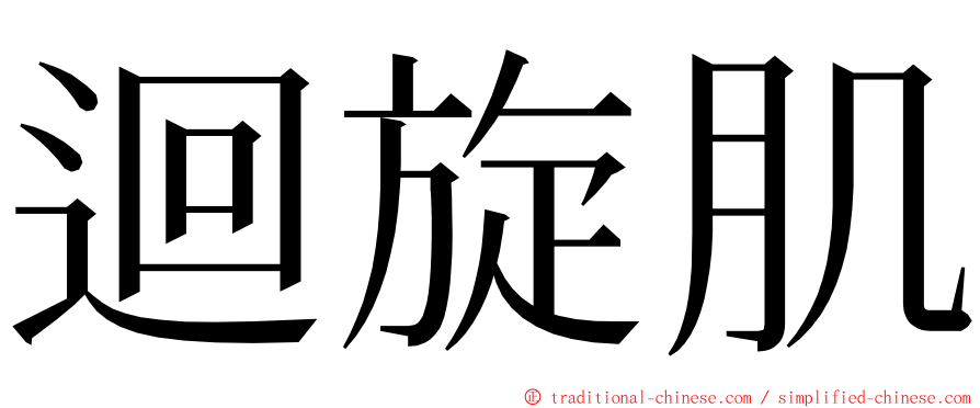 迴旋肌 ming font