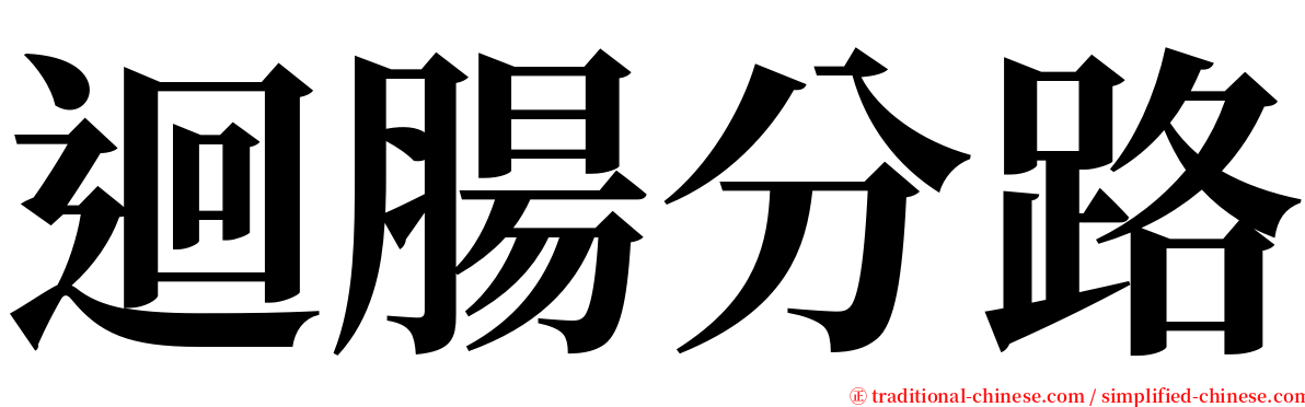 迴腸分路 serif font