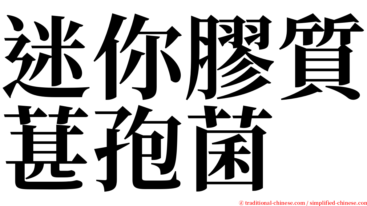 迷你膠質葚孢菌 serif font