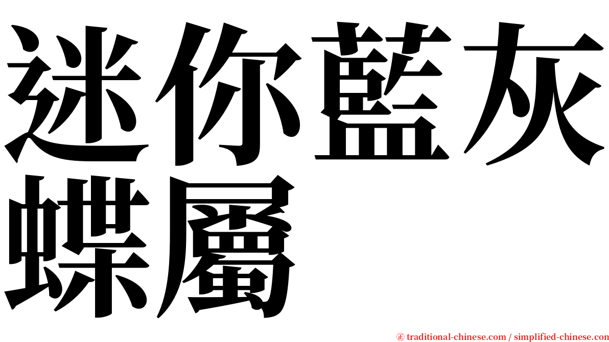 迷你藍灰蝶屬 serif font