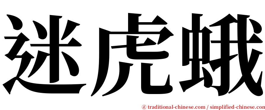 迷虎蛾 serif font