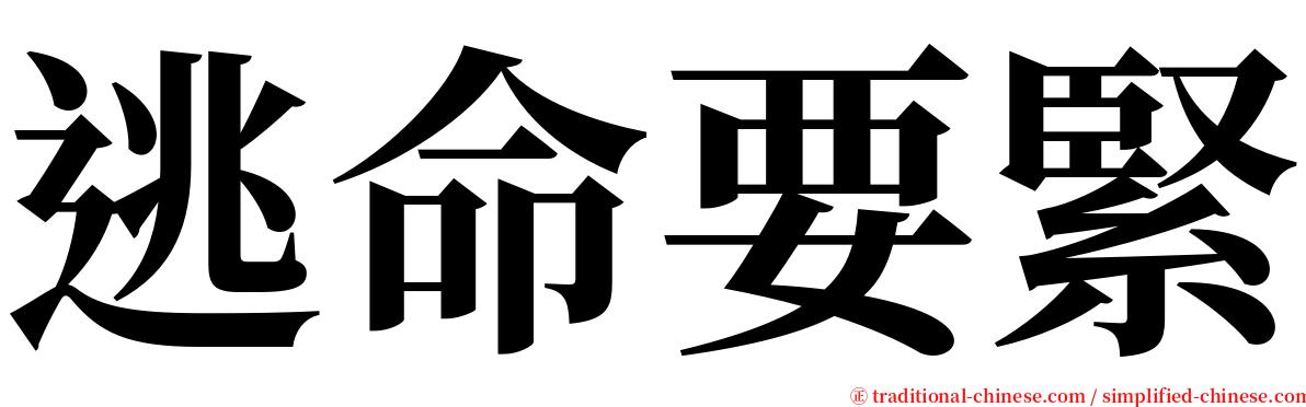 逃命要緊 serif font