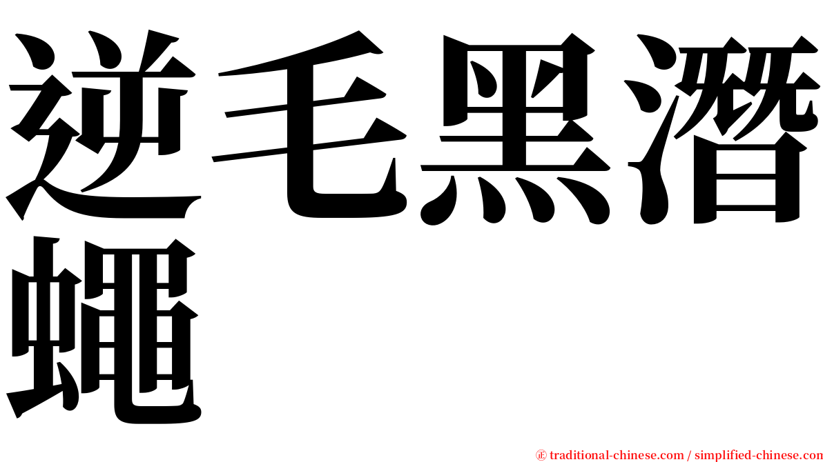 逆毛黑潛蠅 serif font