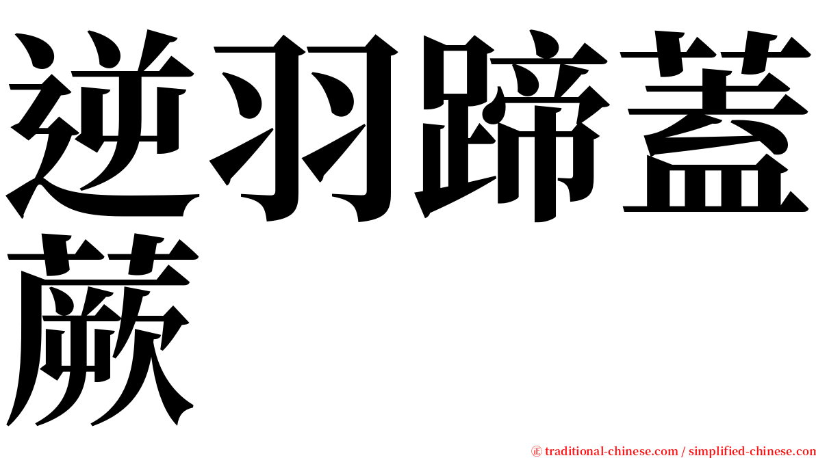 逆羽蹄蓋蕨 serif font