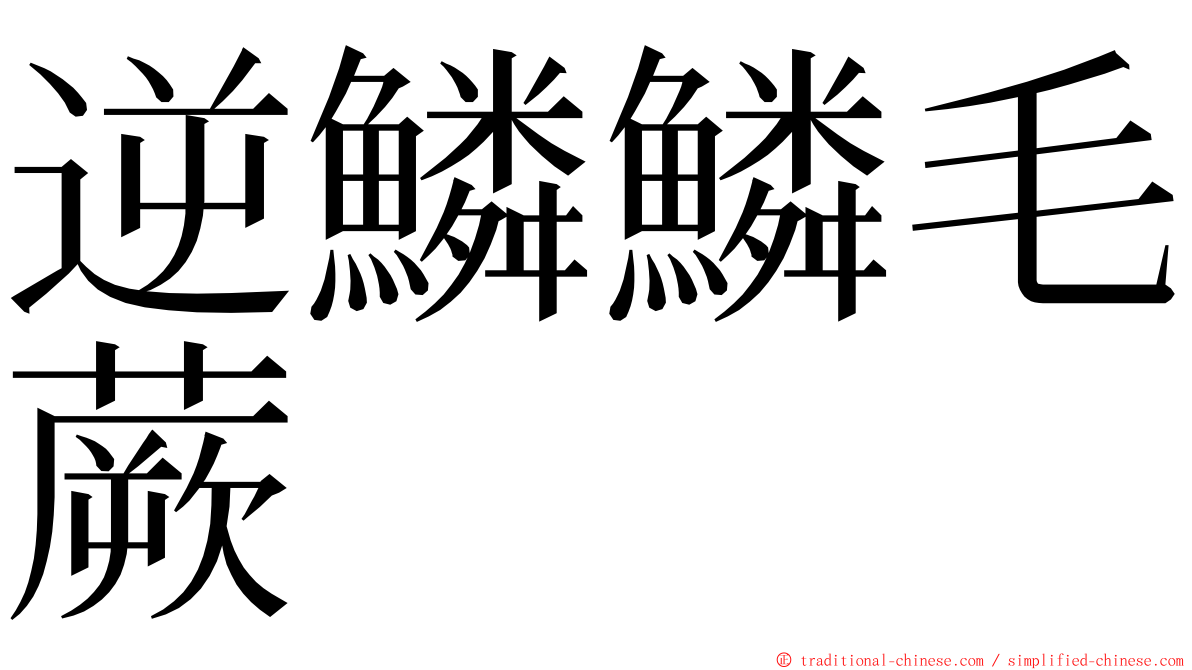 逆鱗鱗毛蕨 ming font