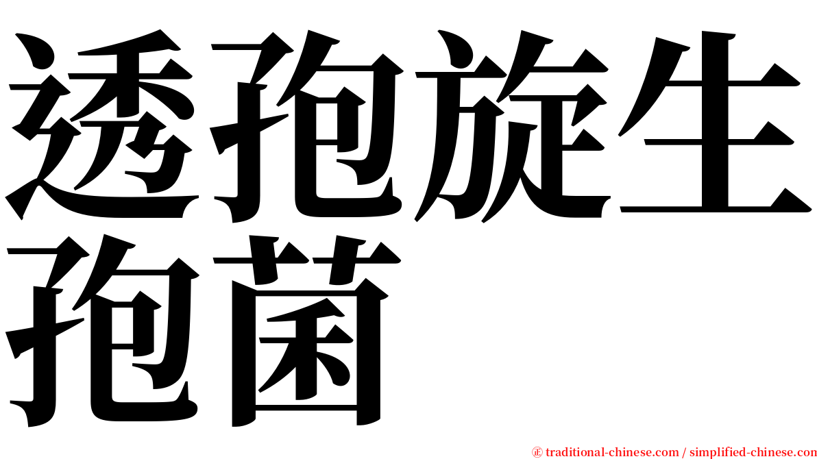 透孢旋生孢菌 serif font