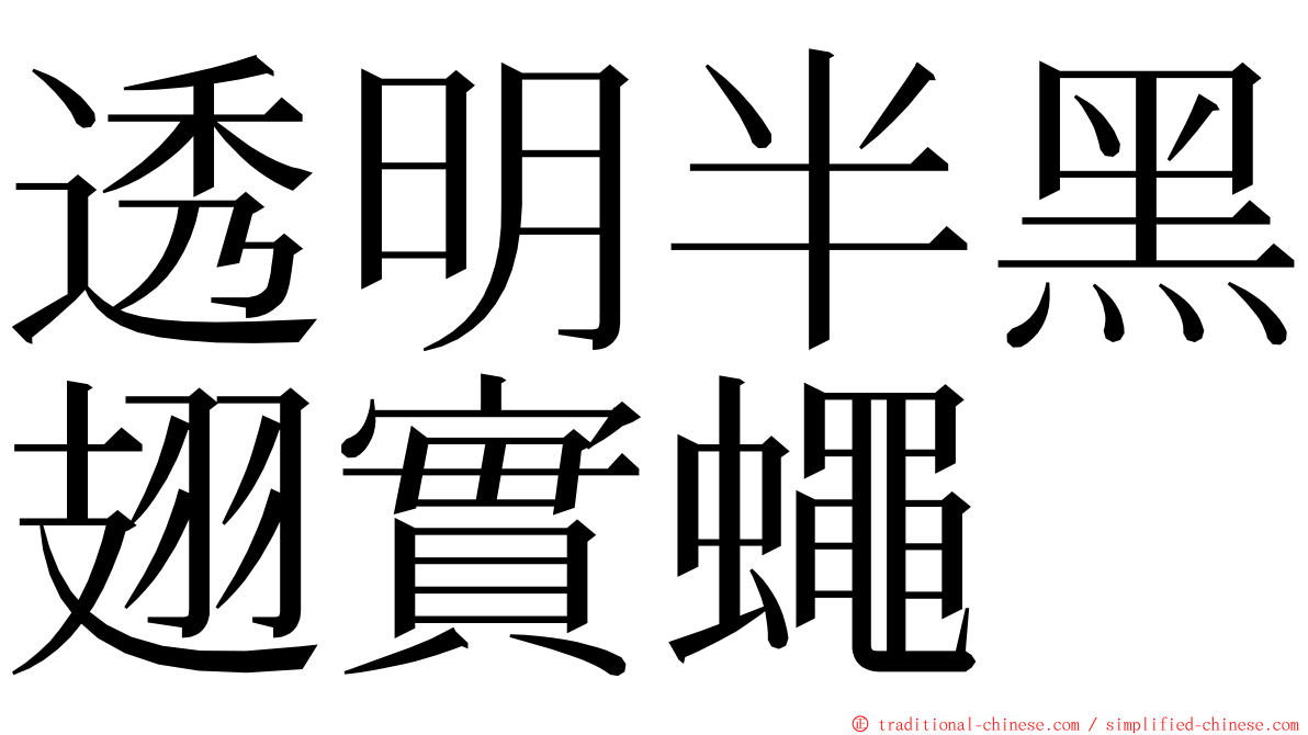 透明半黑翅實蠅 ming font