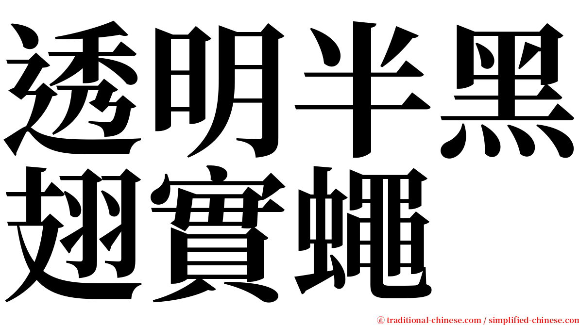 透明半黑翅實蠅 serif font