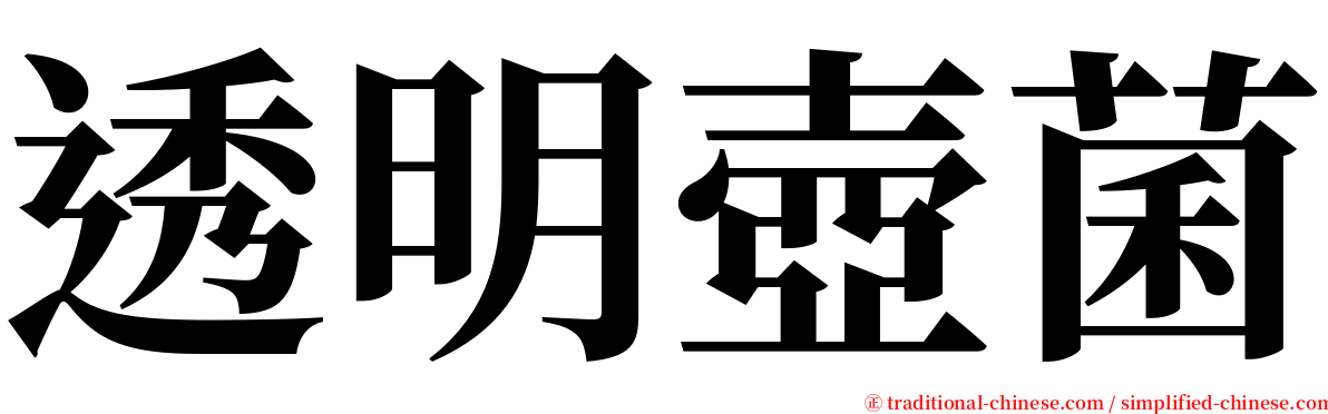 透明壺菌 serif font