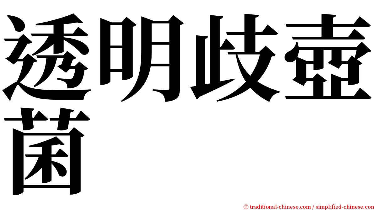 透明歧壺菌 serif font