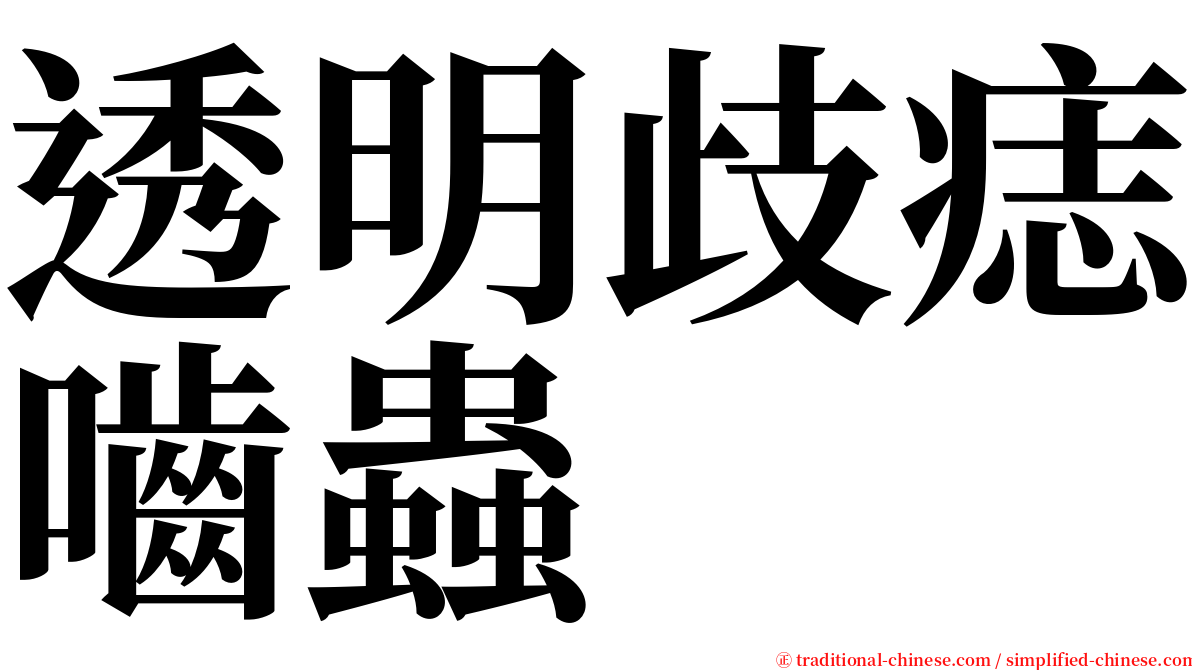 透明歧痣嚙蟲 serif font