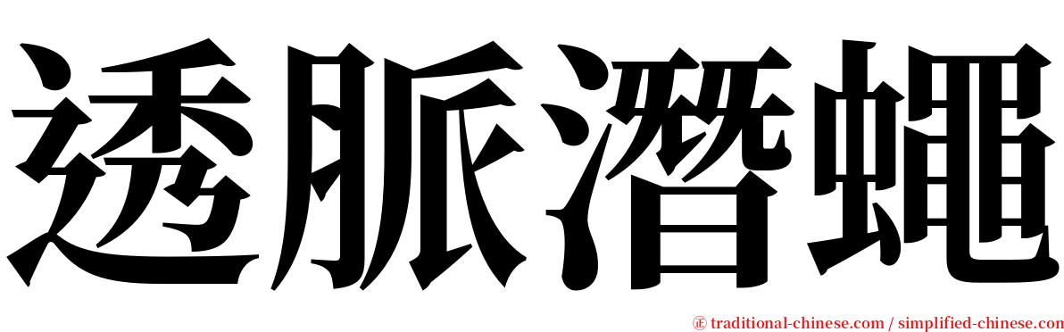 透脈潛蠅 serif font