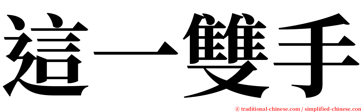 這一雙手 serif font