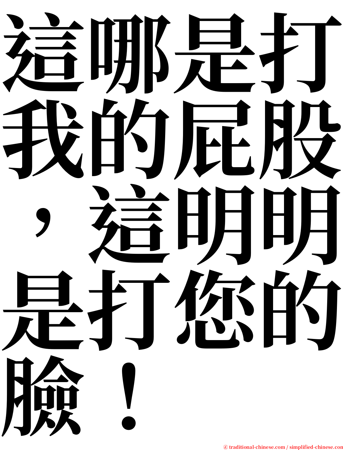 這哪是打我的屁股，這明明是打您的臉！ serif font