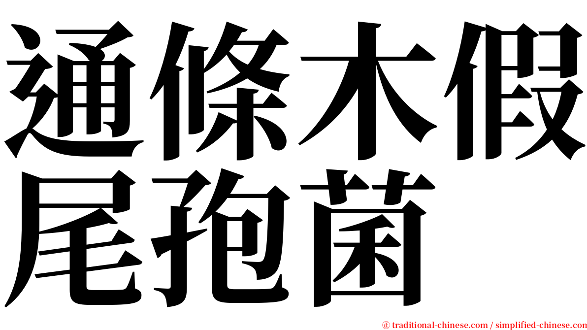 通條木假尾孢菌 serif font