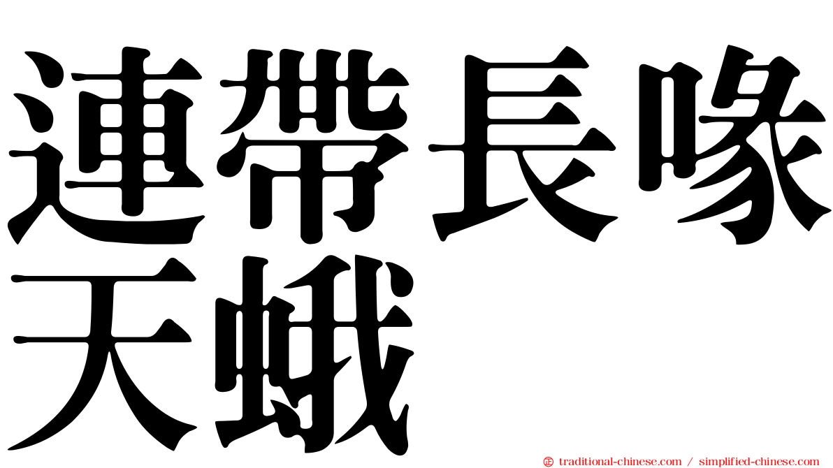 連帶長喙天蛾