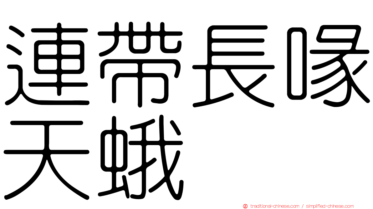 連帶長喙天蛾