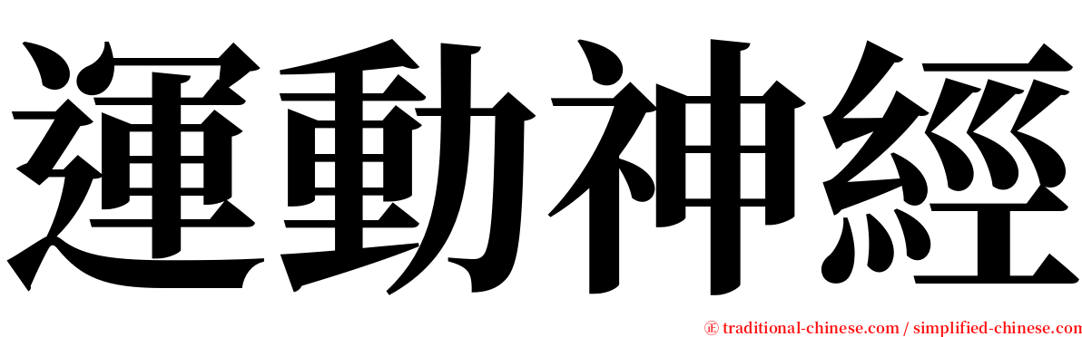 運動神經 serif font